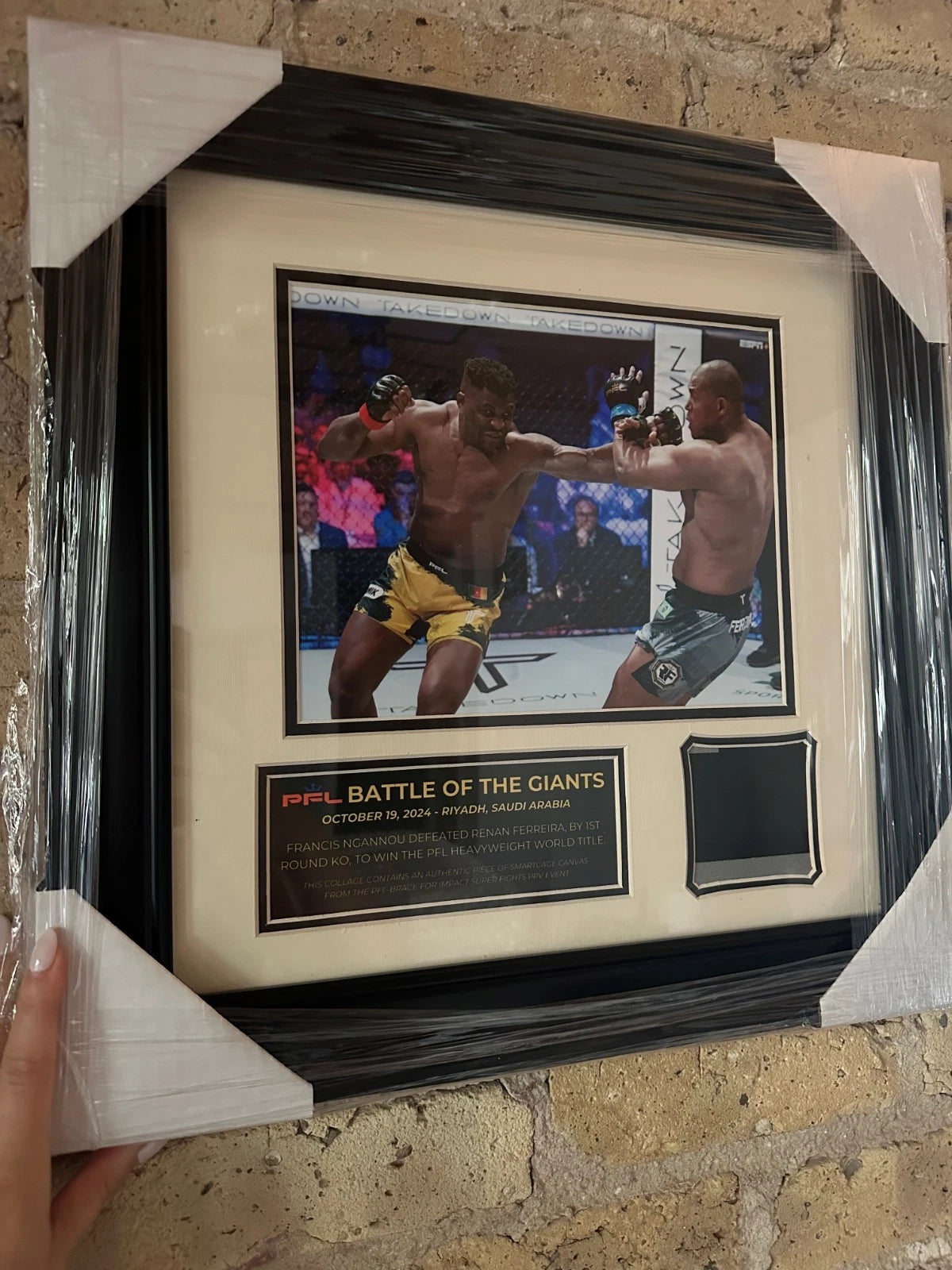PFL Fight Used Octagon Framed Collage | Ngannou vs. Ferreira