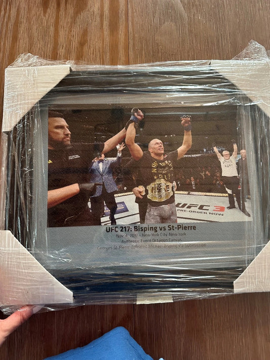 UFC 217 Fight Used Octagon Framed Collage | Bisping vs. St-Pierre